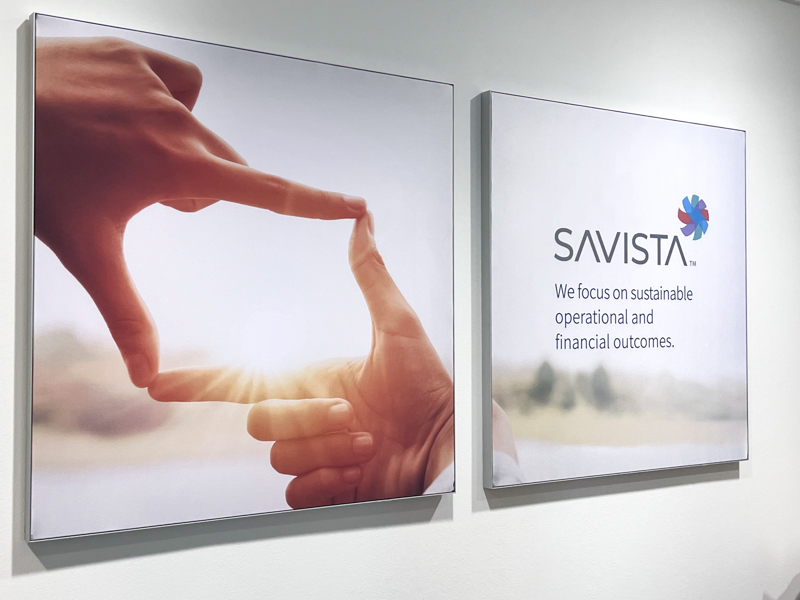A photograph of art on the walls of the Savista office